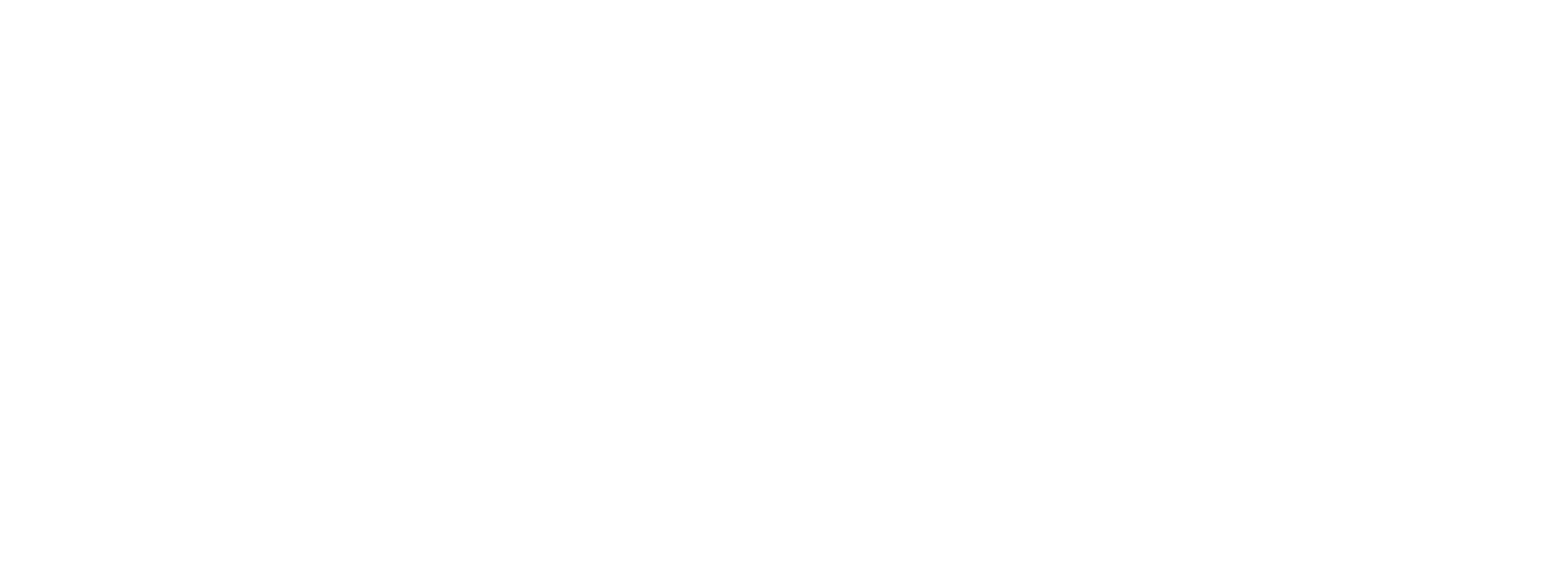 Travelling History